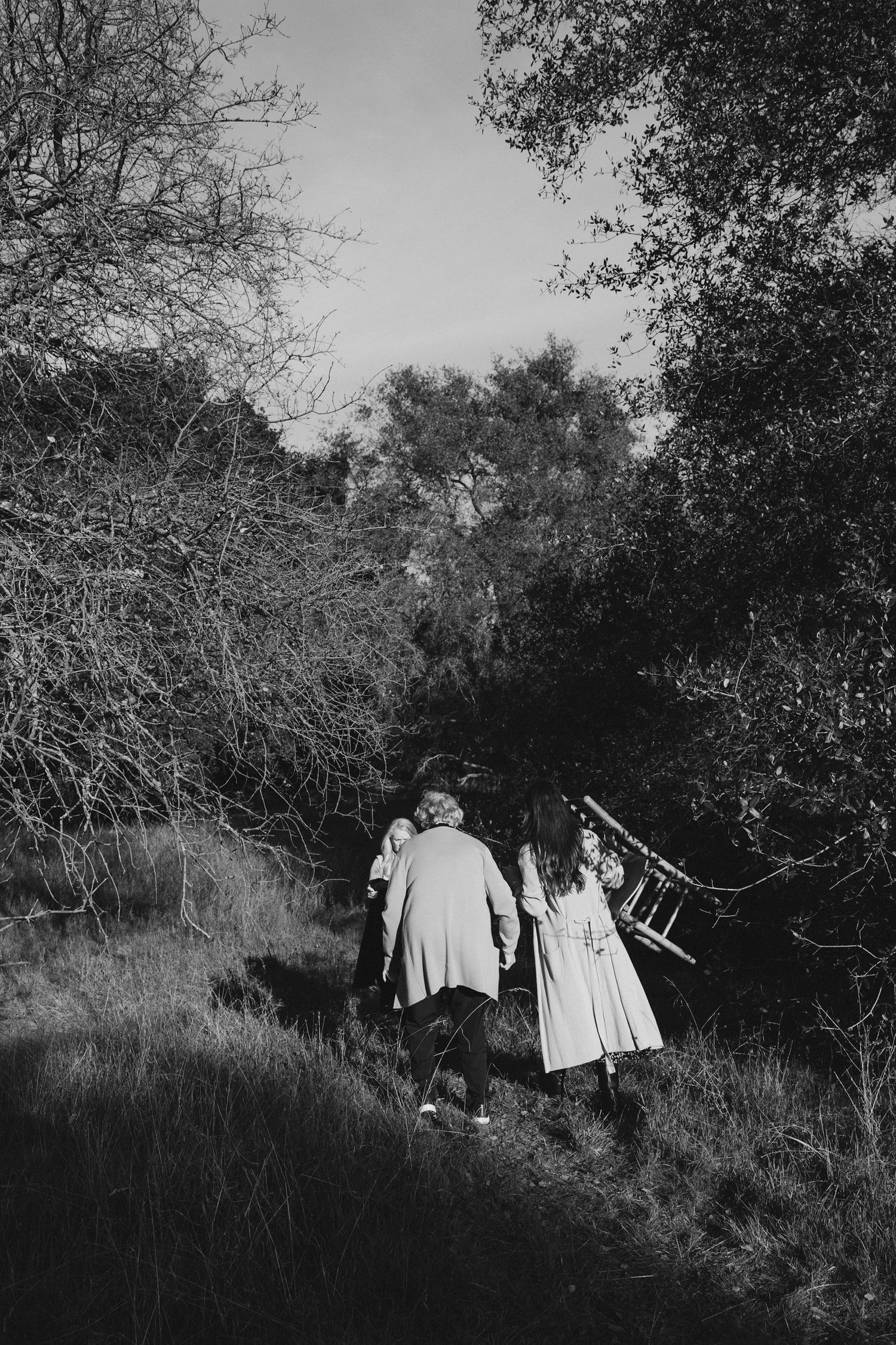 Black and white photo of figures walking together through a wooded area with dramatic backlighting.