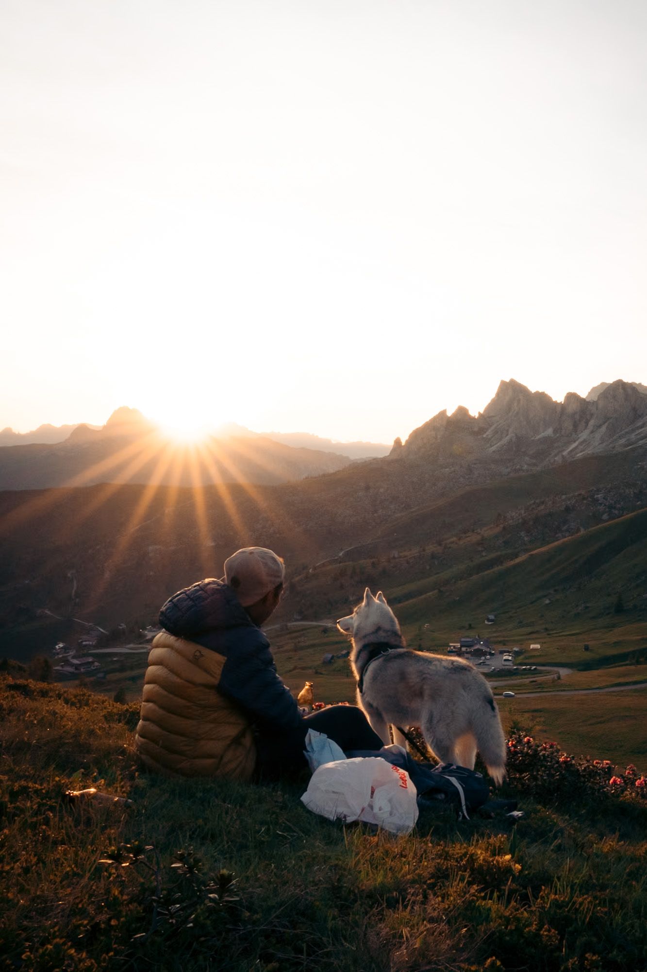 un homme et son chien en pique nique au passo giau