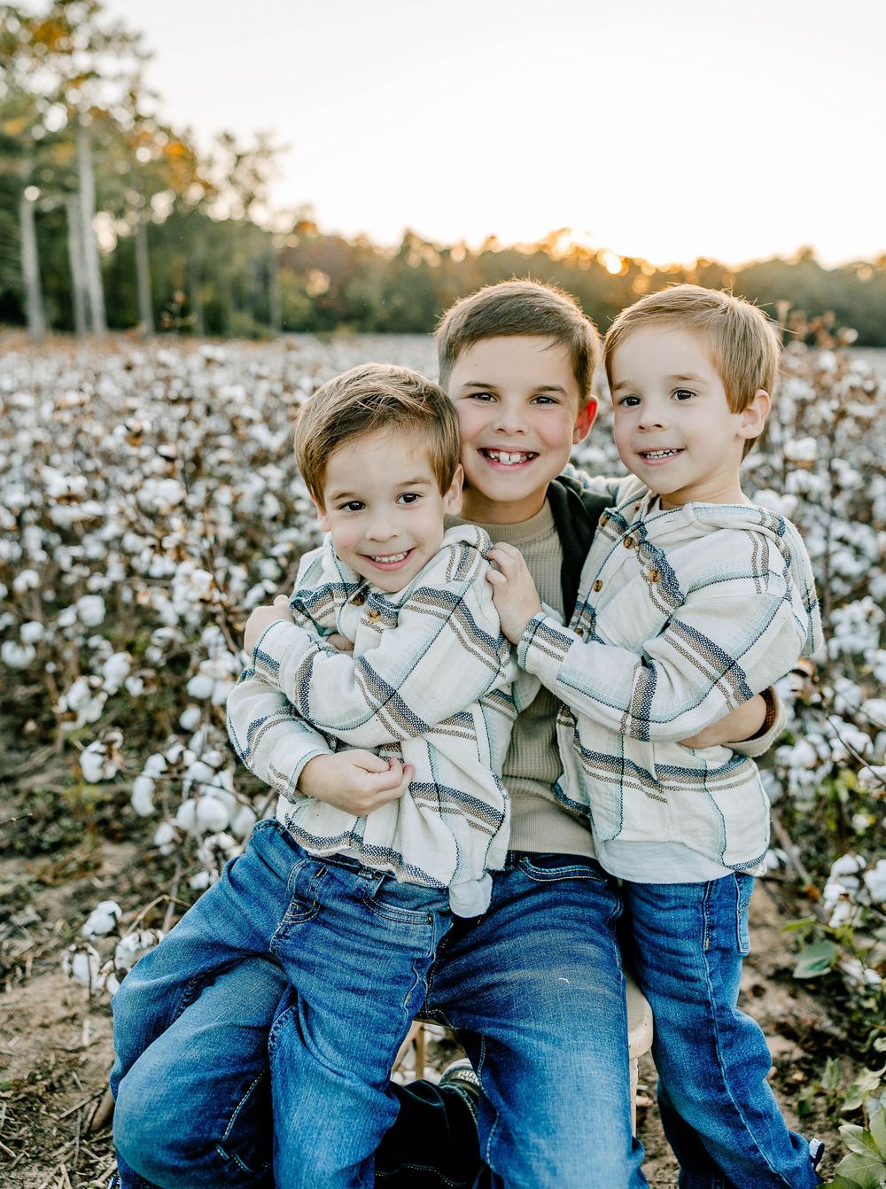 Golden hour family portraits at Cotton Hill Farms in McConnells, SC—soft light, fluffy cotton bolls, and candid sibling laughter