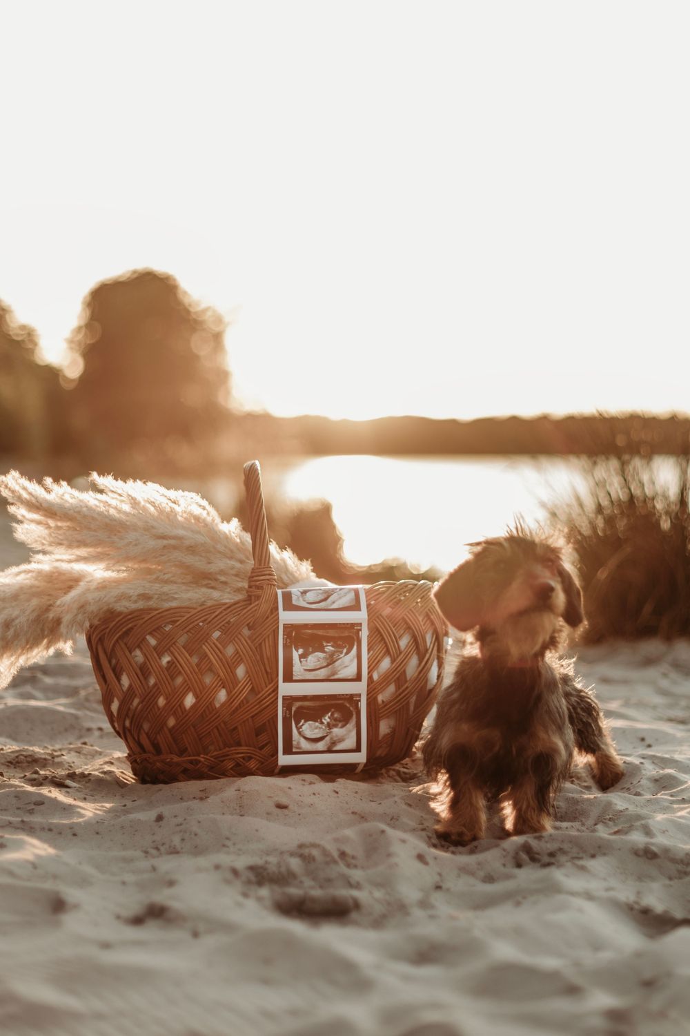 #zwangerschap #zwangerschapsfotoshoot #babyontheway #lommel #fotograaf #fotografie #pelt #belgie