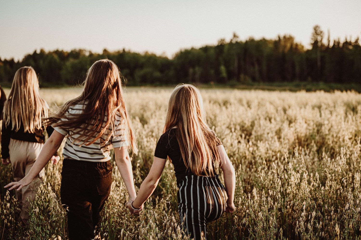 Three people hold hands while walking through a golden meadow at sunset.