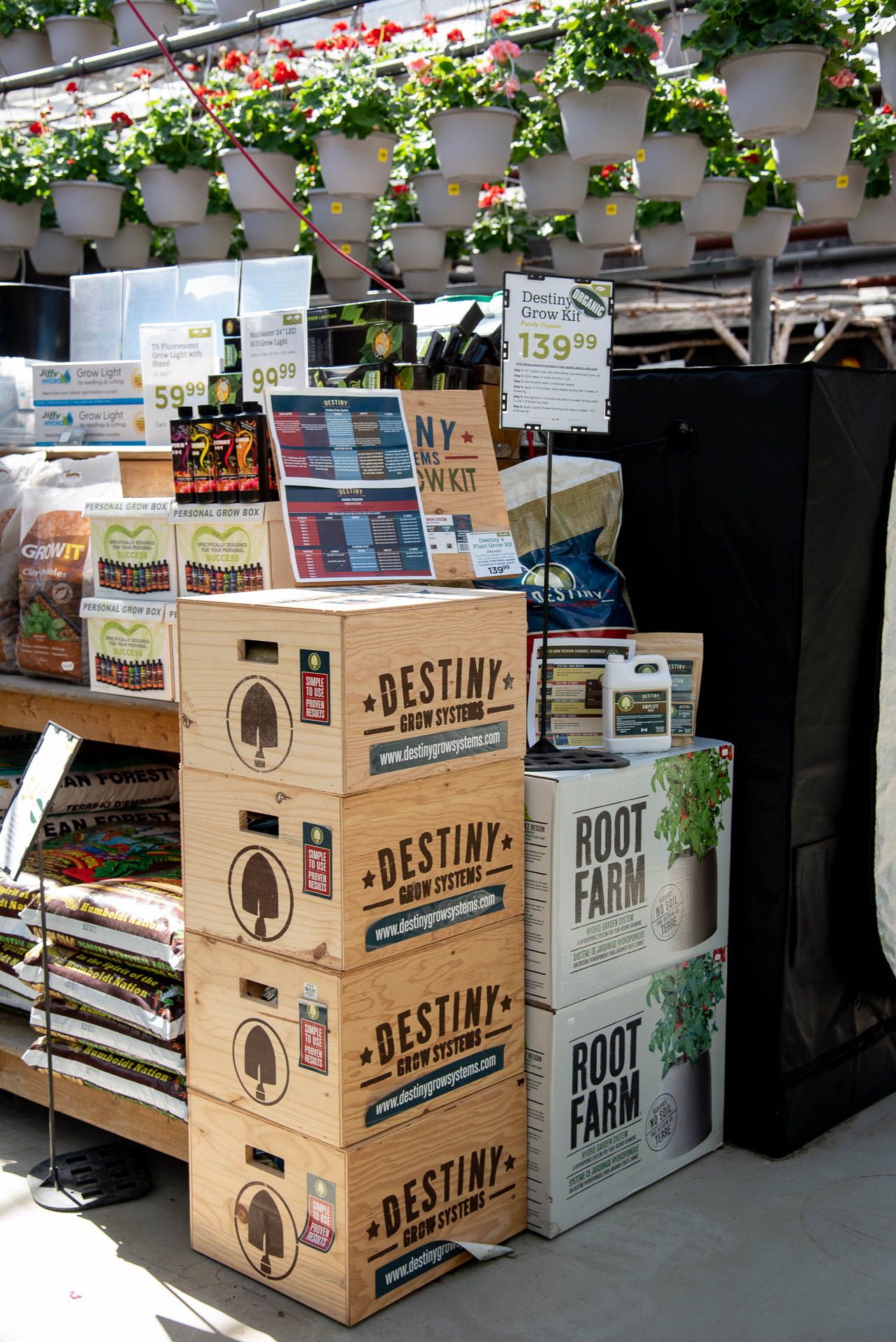 Stacks of Destiny beer boxes and Root Farm products displayed under hanging flower baskets at Bradford Greenhouse in Barrie, ON