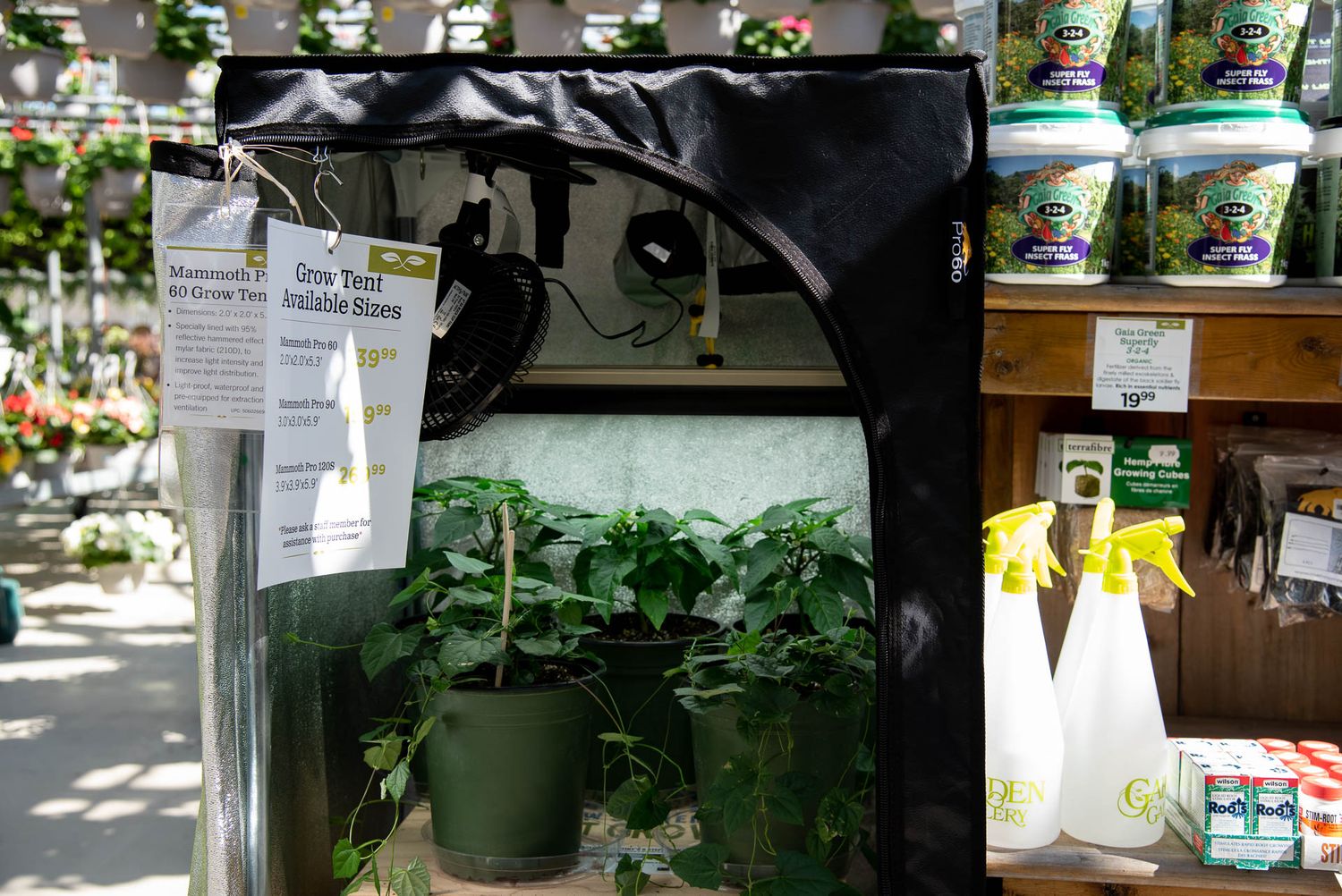 Plants growing in plastic containers with garden supplies and bottles visible at Bradford Greenhouse in Barrie, ON