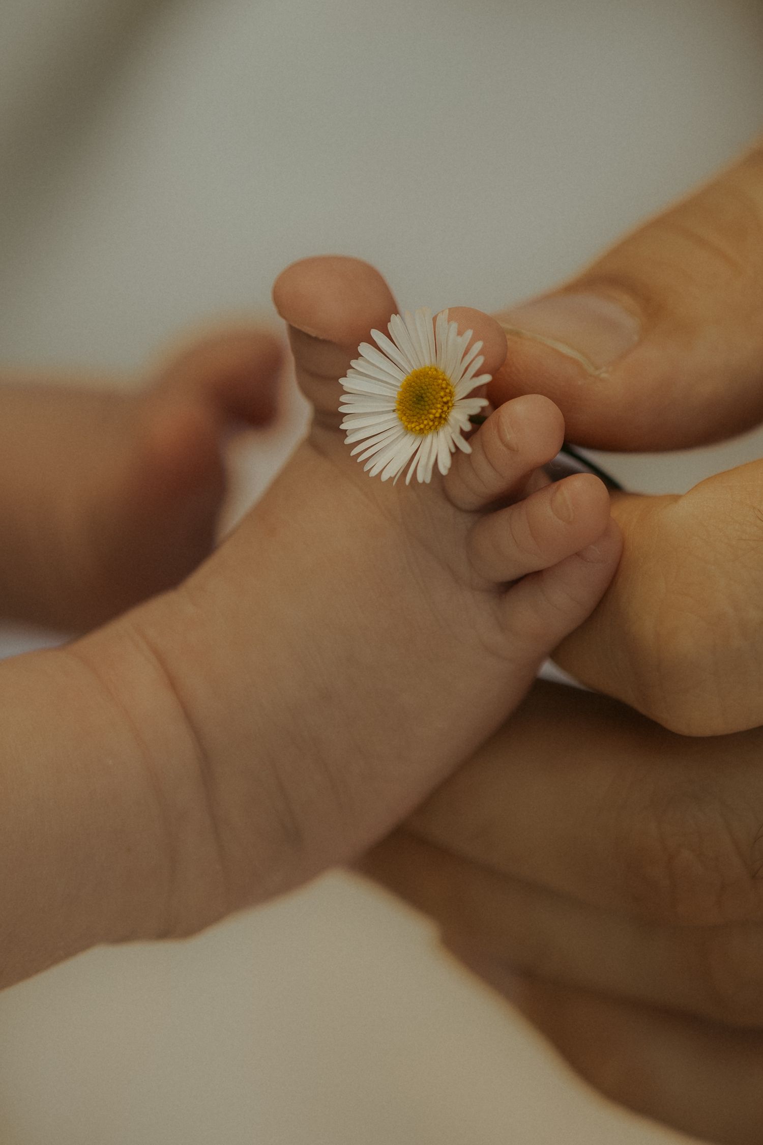 A peaceful sleeping baby rests in white clothing against a soft background with gentle lighting.