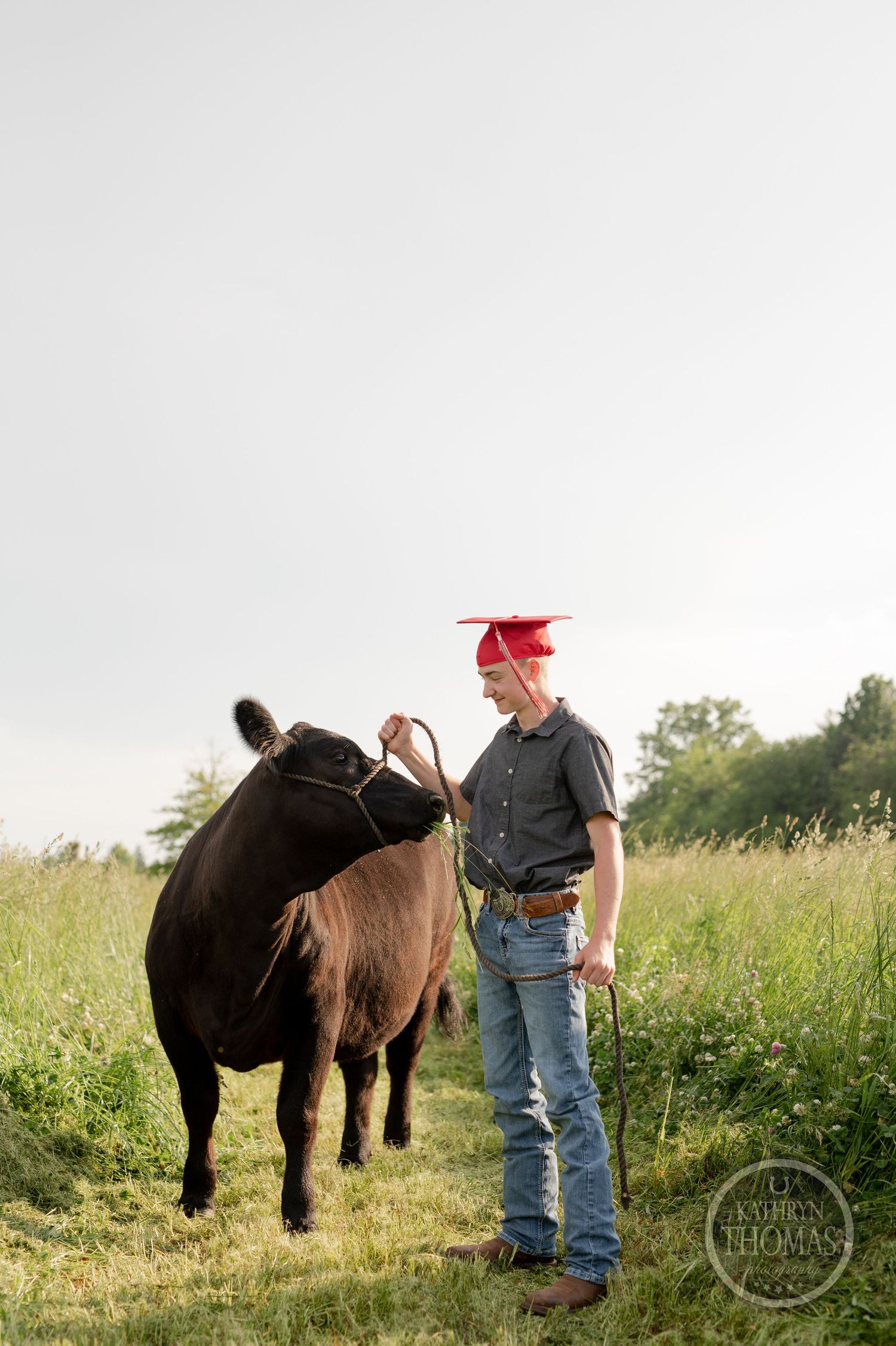 Graduate in red cap and grey shirt stands with black cow in sunlit meadow.