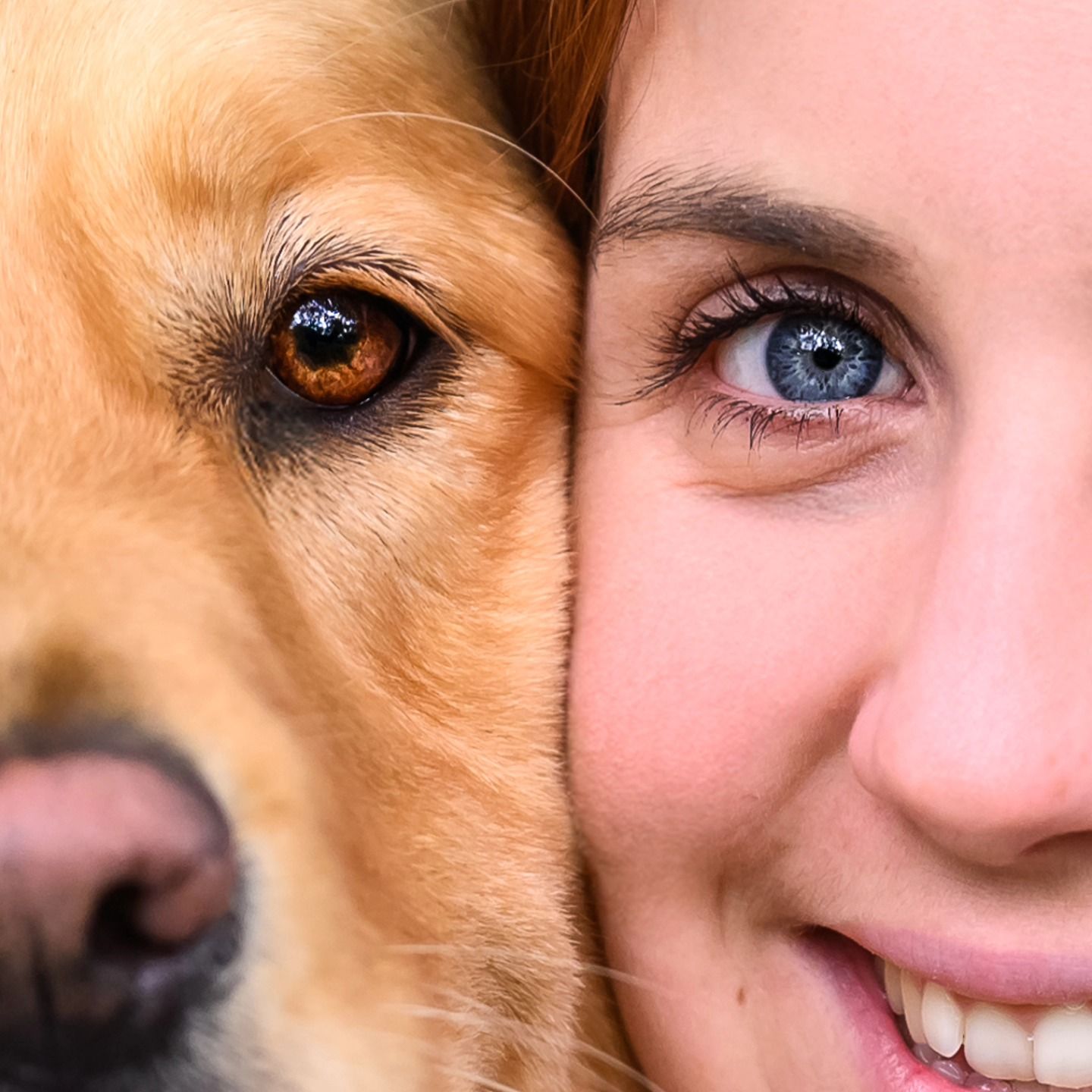 Séance humain animal eye to eye oeil contre oeil souvenirs en Meuse à Verdun Photographe animaux et Enfants à Verdun Nyhilith Photographie
