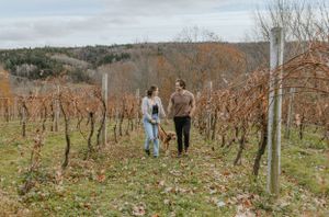 Benjamin Bridge Winery, Annapolis Valley, Nova Scotia, Family Session, Lifestyle Photography, Halifax Photographer, Belleville Photographer