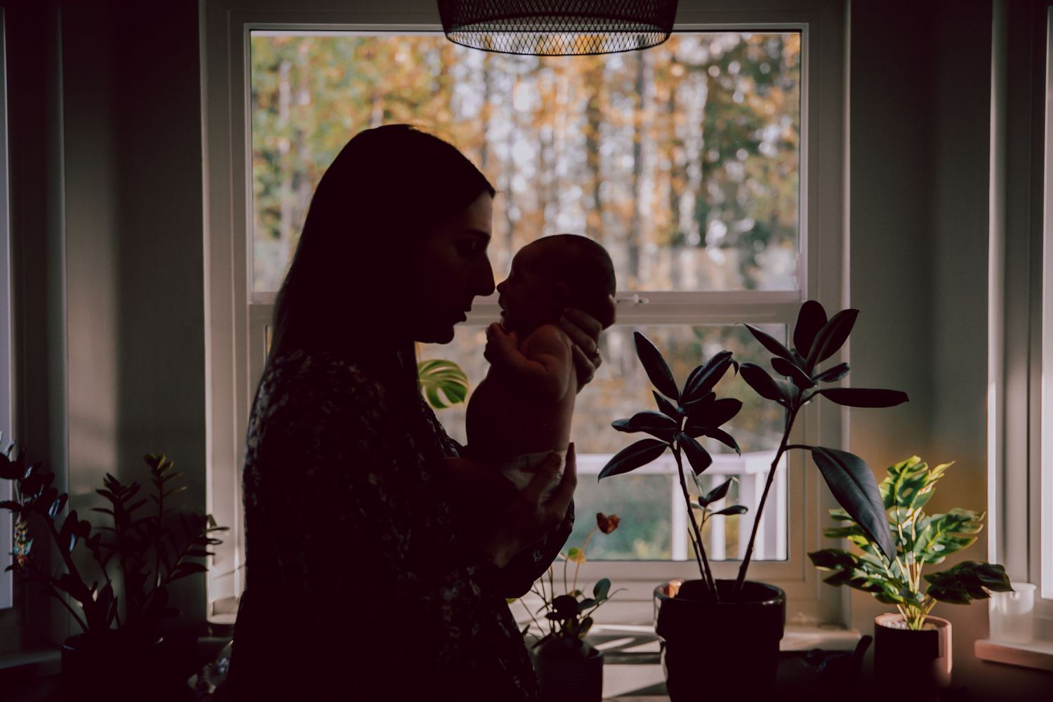 Silhouette of parent and baby by window with houseplants.
