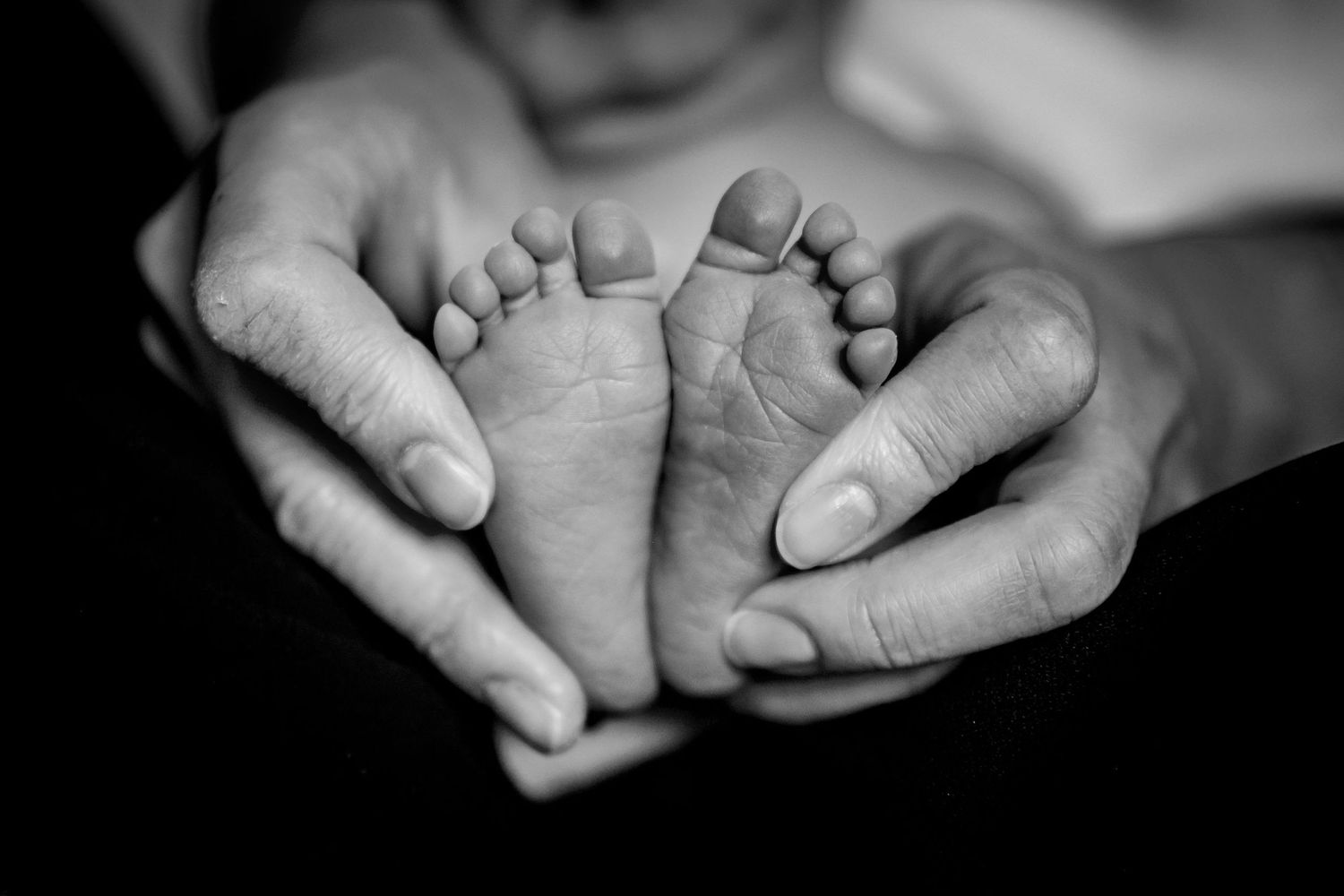 Adult hands cradle tiny newborn feet in black and white.
