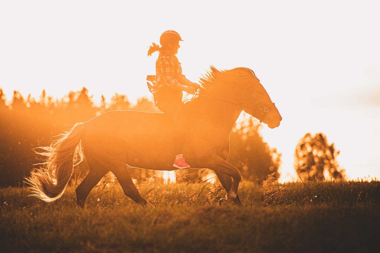 Silhouetted horse and rider galloping across a field at golden sunset with warm backlit glow.