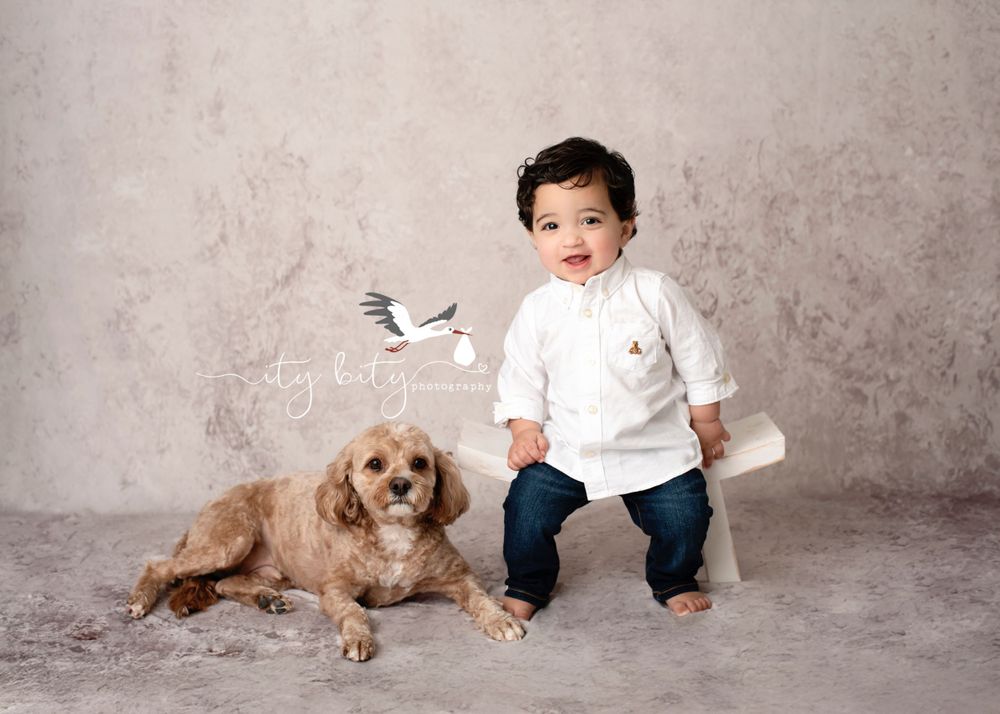 Akron One Year Cake Smash Photographer Near Me Puppy and child photos