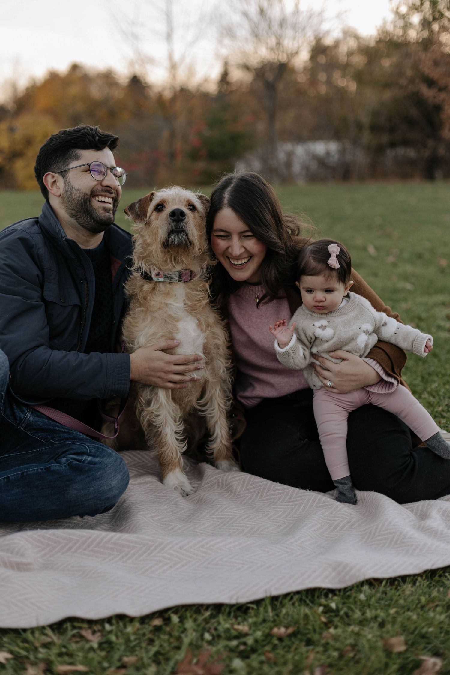 parents sitting in the grass with their baby and dog laughting and talking, at the park in Toronto