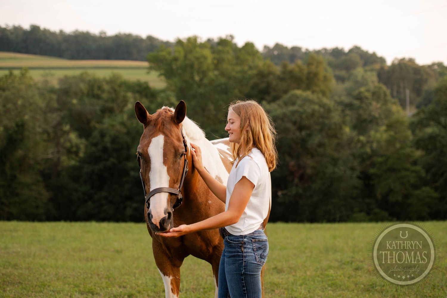 A paint horse and companion share a tender moment in an evening pasture.