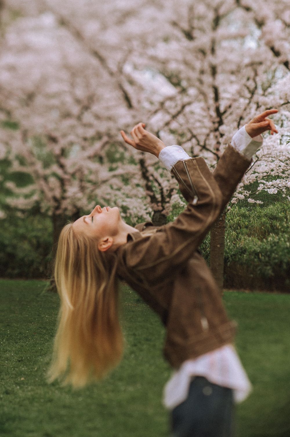 A person in a brown jacket twirls gracefully beneath blooming cherry blossoms in spring.
