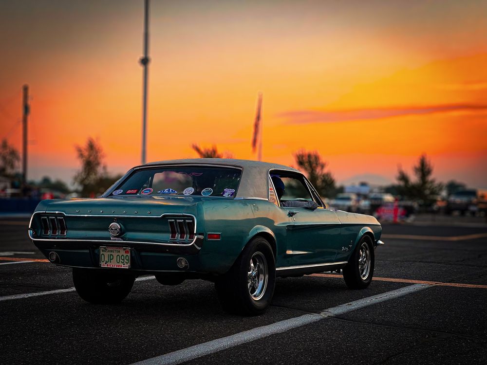 mustang