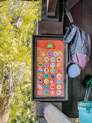 A display board showing colorful merit badges or achievement patches mounted on a rustic wooden surface near trees.