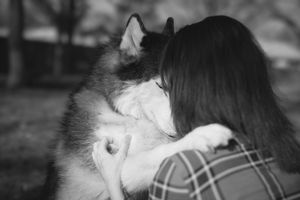 Black and white photo of a woman hugging a Siberian Husky dog affectionately outdoors.