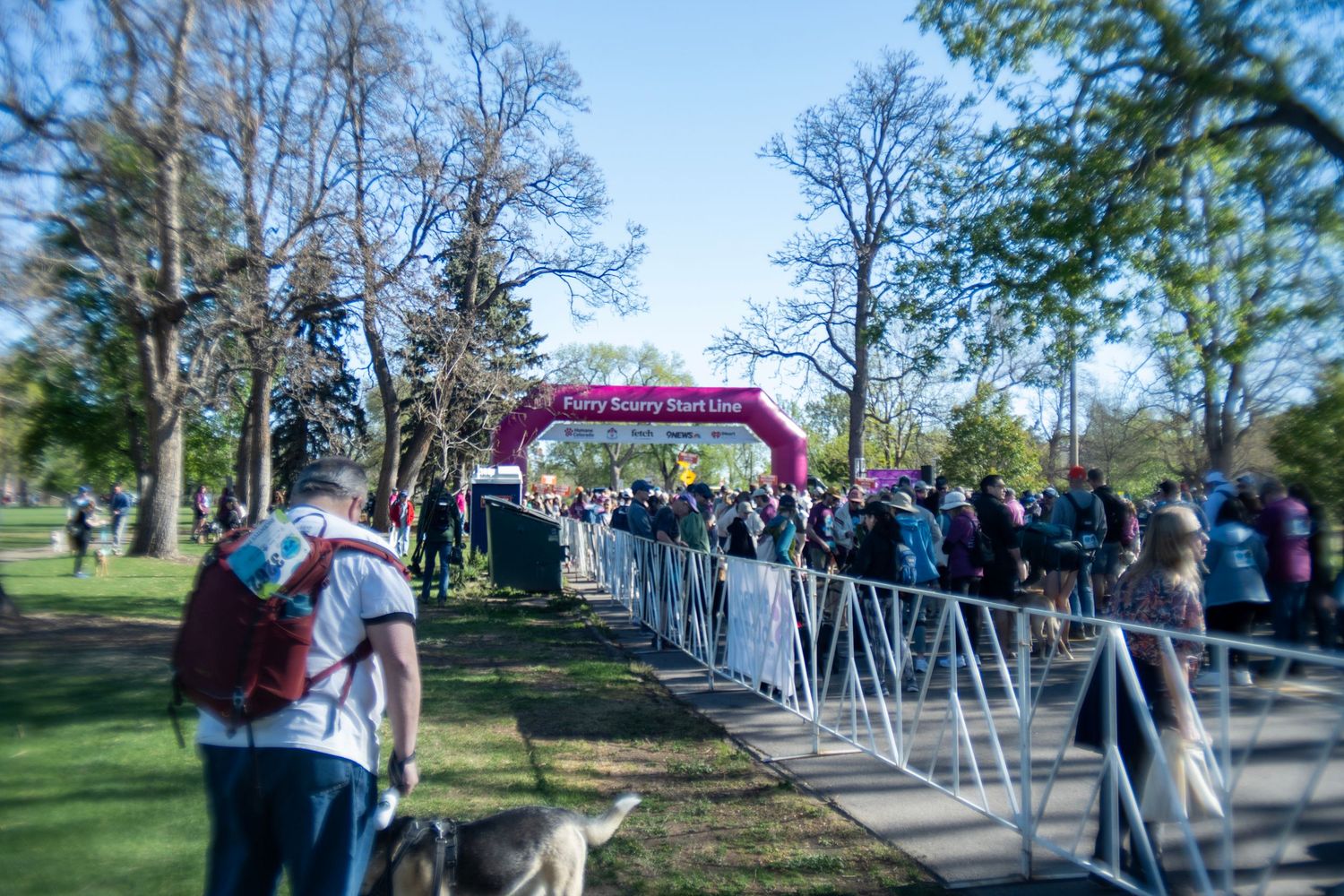 Crowds gather at a charity run start line under a pink arch in a sunny park with metal barriers lining the path.