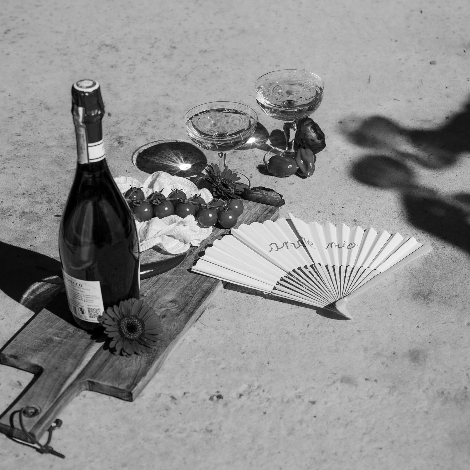 Black and white flat lay of champagne bottle, wine glasses, grapes, and a decorative fan on sandy ground.