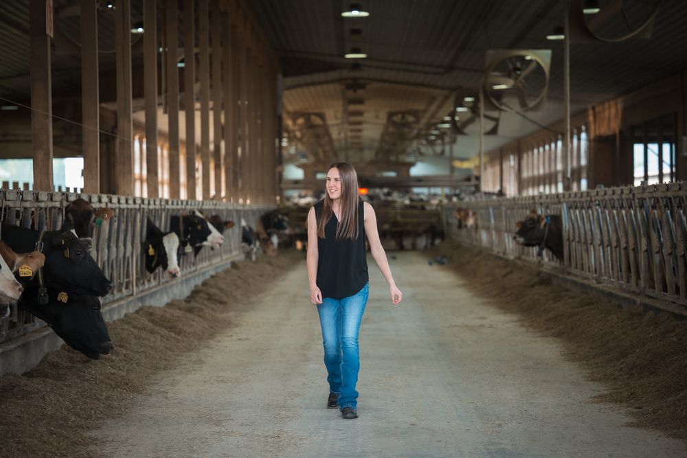 Vermont UVM graduate walking through a large dairy barn with cows in stalls on both sides.
