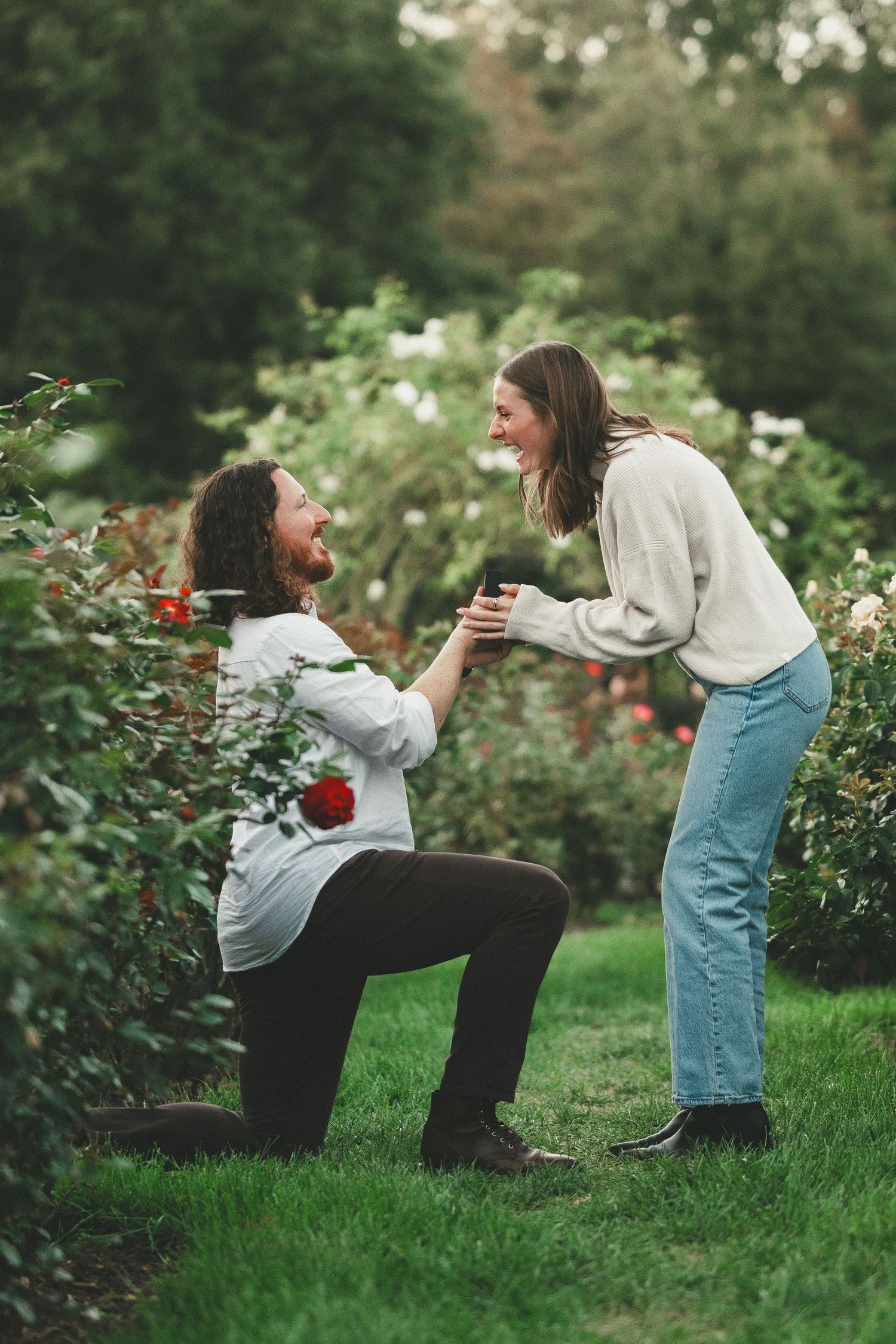 Emotional proposal moment at Bon Air Rose Garden in Arlington VA