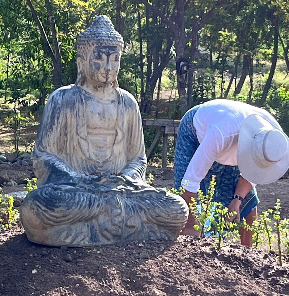 Person tending plants beside a large stone Buddha statue in a serene garden setting.
