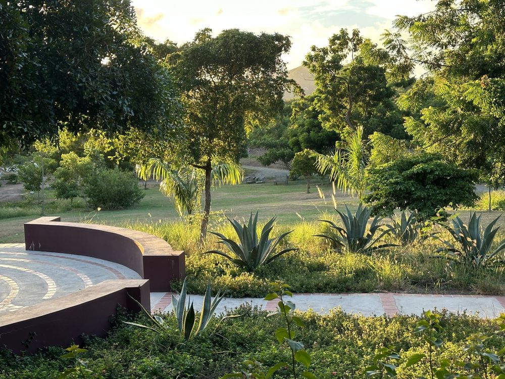 Lush green garden with agave plants, trees, and curved stone seating area bathed in warm golden sunlight.