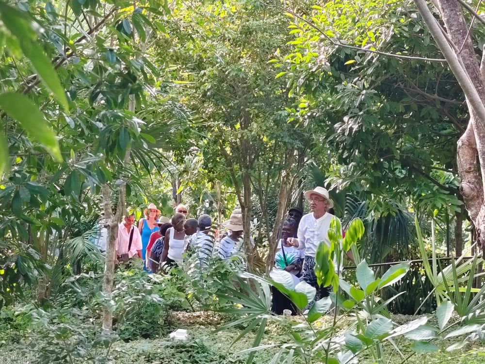 Group of people gathered among lush green tropical trees and plants in a sunlit forest setting.