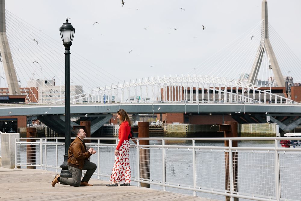 Man proposing to woman on waterfront boardwalk near Zakim Bridge in Boston, with seagulls flying overhead.