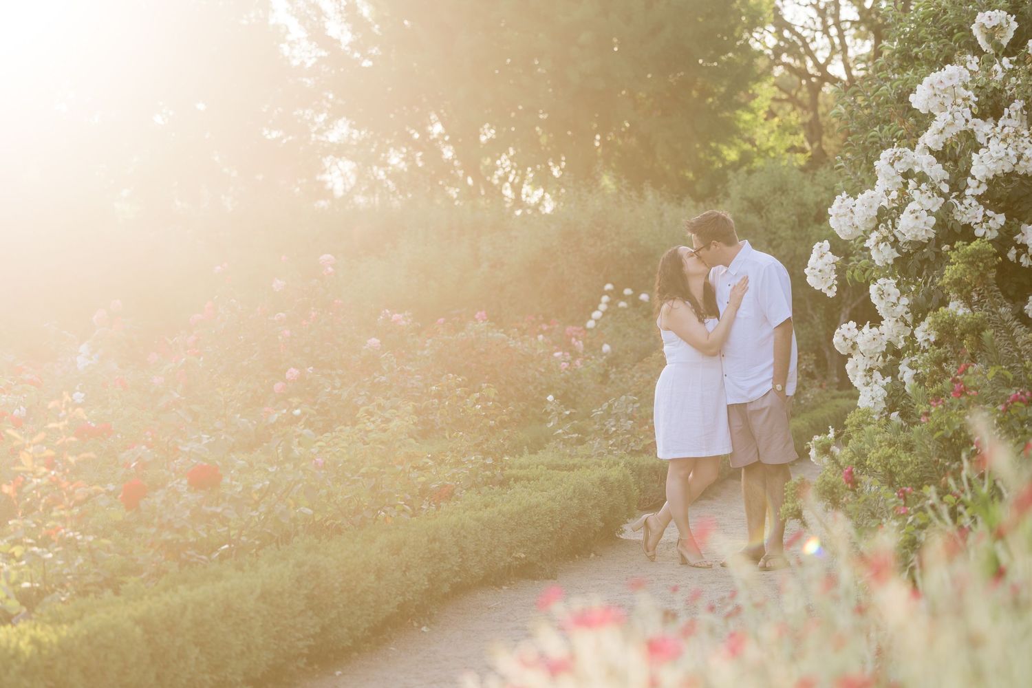 Couple sharing a romantic kiss on a garden path surrounded by blooming flowers in warm golden sunlight.