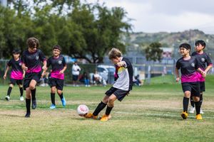 Youth soccer players in black and pink uniforms compete on a grass field, with one boy kicking the ball.