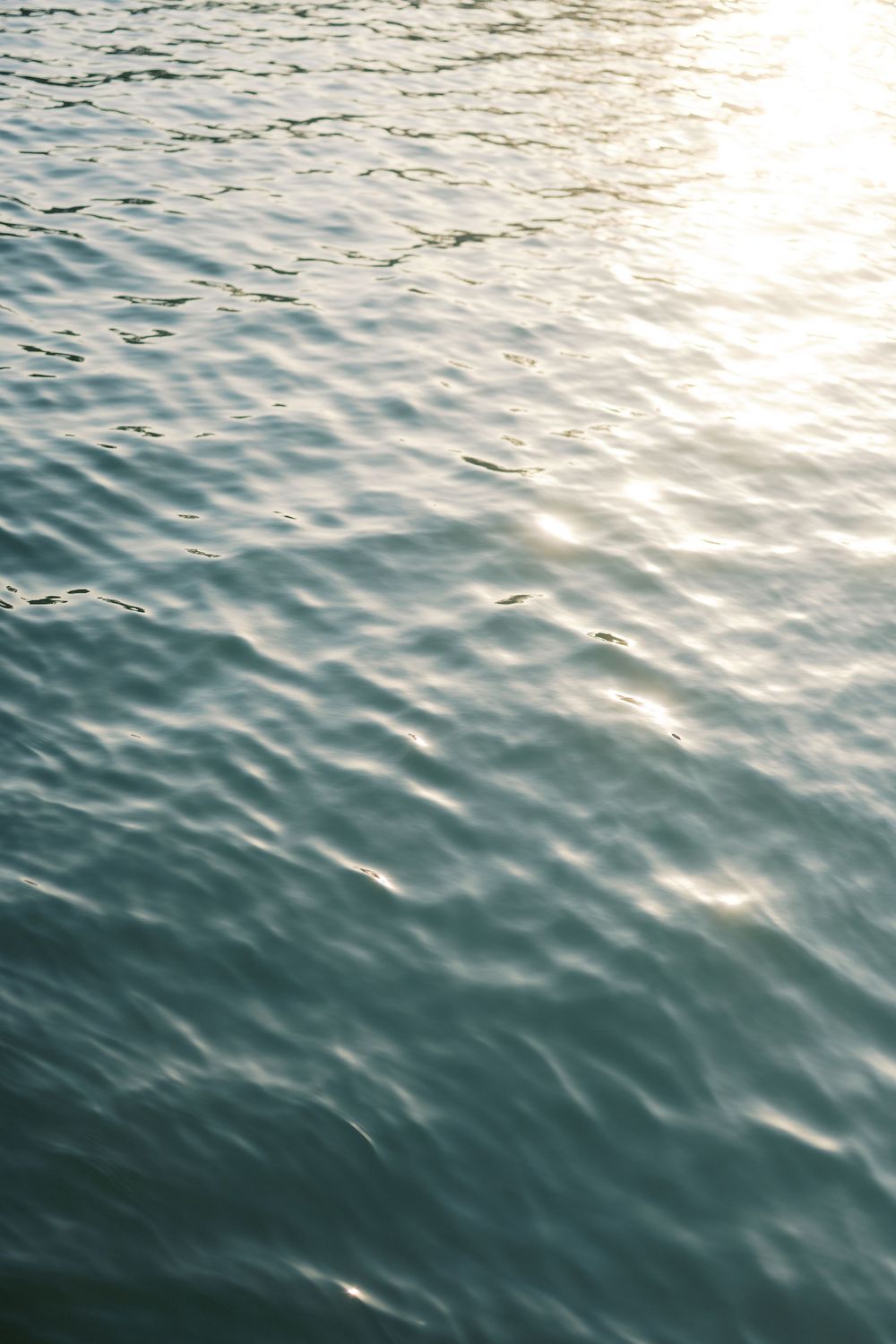 Sunlight reflecting on calm ocean water creating a serene, shimmering surface with gentle ripples.