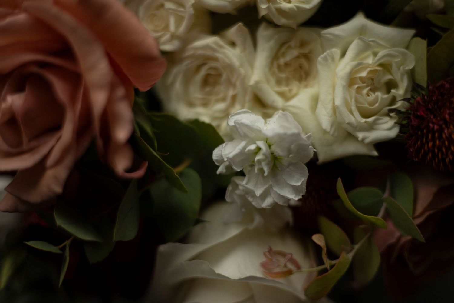 Delicate pink and white roses create an elegant floral arrangement with soft bokeh effect in the background.
