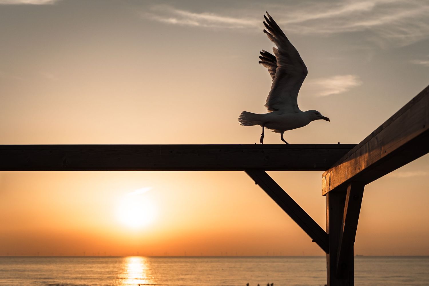 Silhouetted seagull perched on wooden beam against vibrant orange sunset over calm ocean waters.