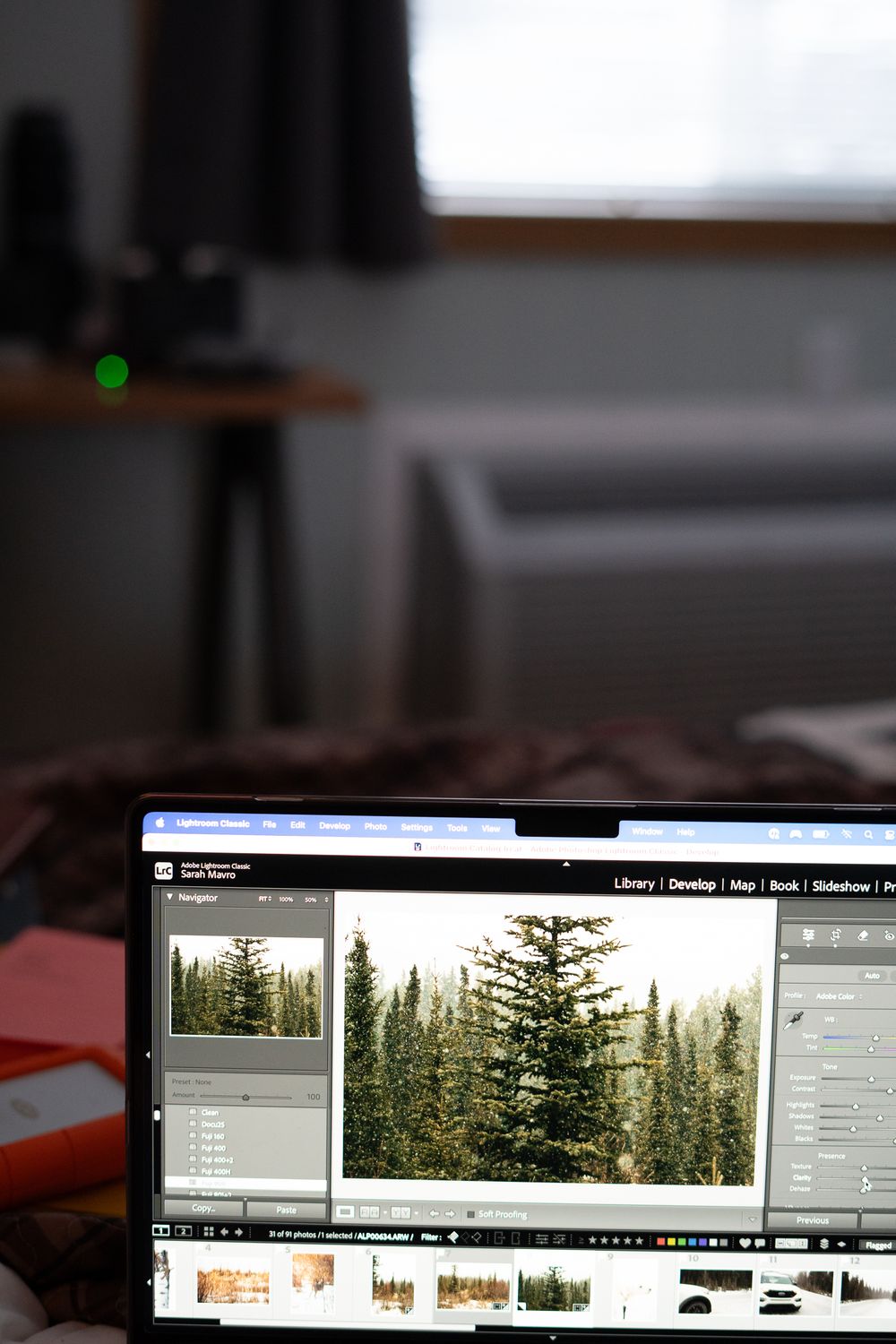 Adobe Lightroom photo editing software displaying evergreen forest images on laptop screen.
