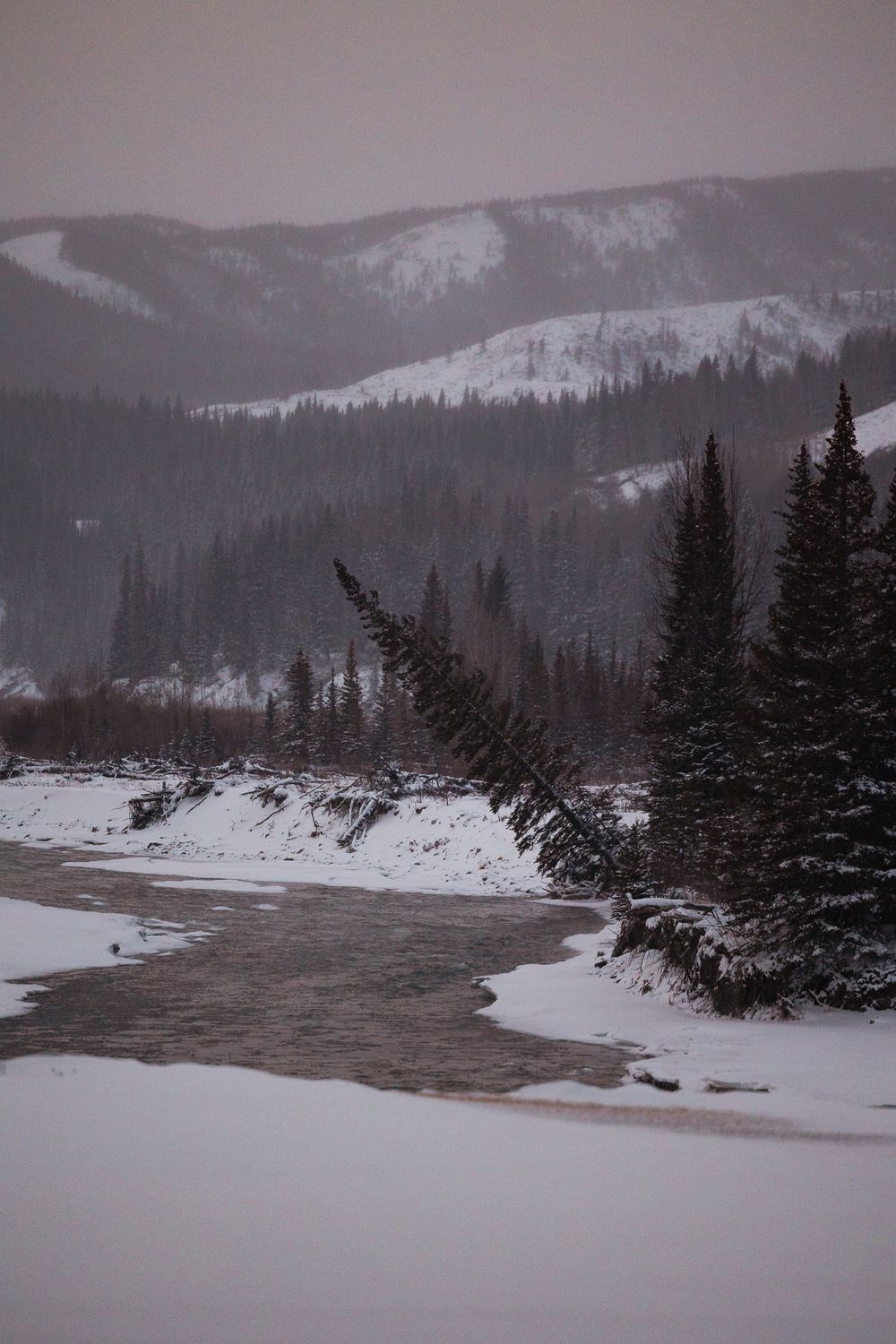 Snow-covered river winding through winter forest with pine trees and misty mountain range behind.