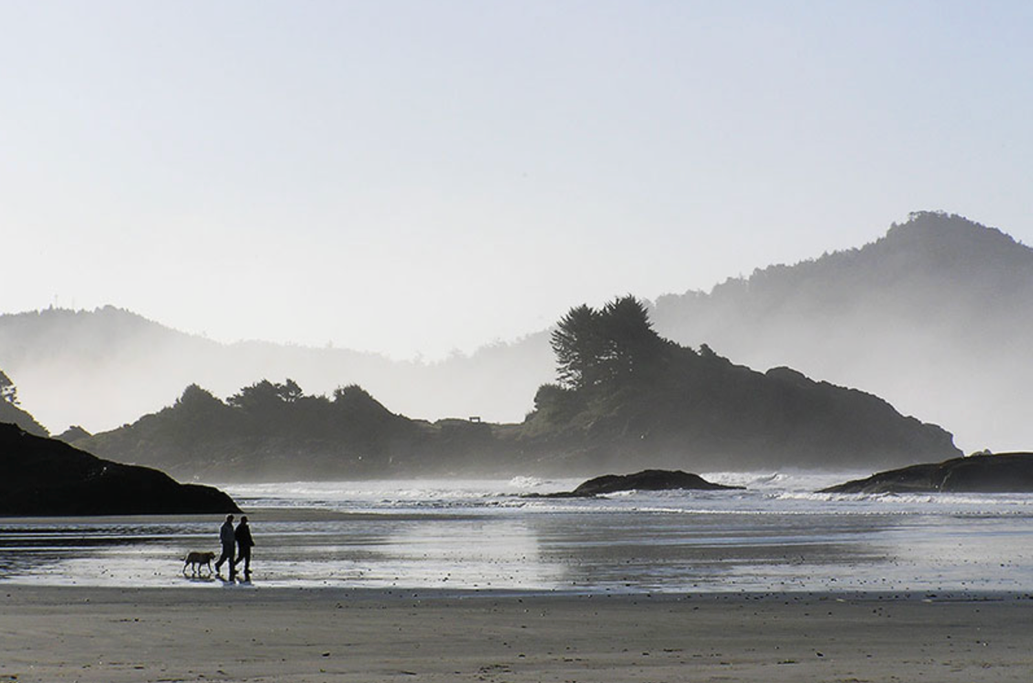 two people walk along Chesterman Beach in Tofino with their dog at low tide