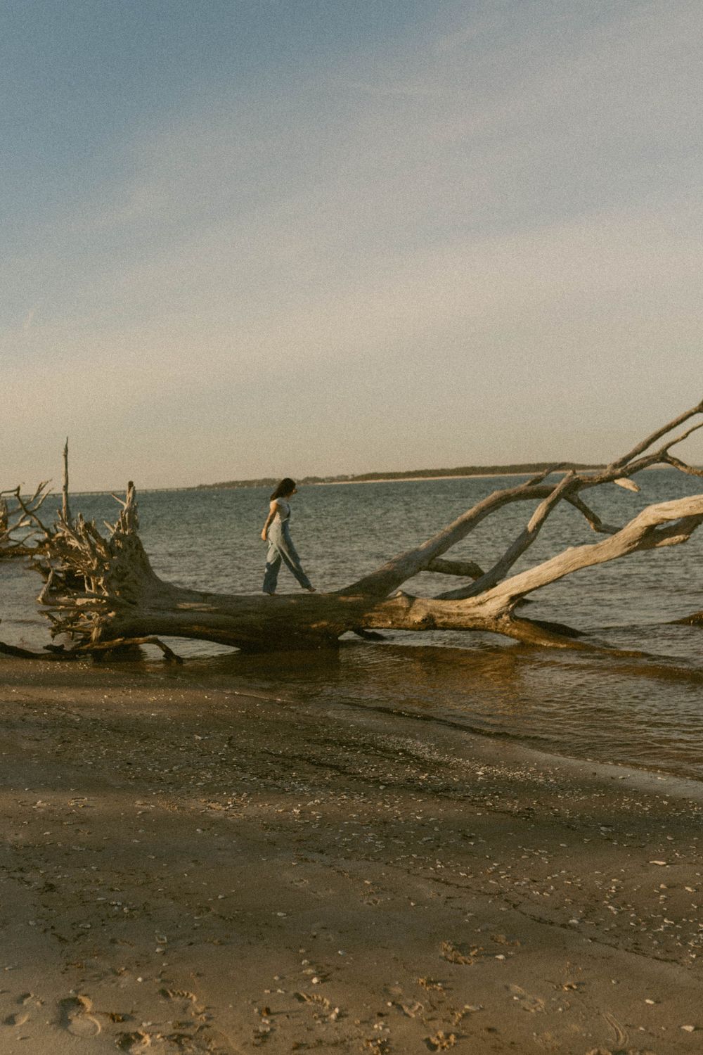 BIG TALBOT ISLAND COUPLES PHOTOGRAPHER FLORIDA