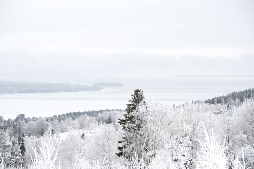 A scenic winter landscape with snow covered trees and rolling hills stretching to the horizon under an overcast sky.
