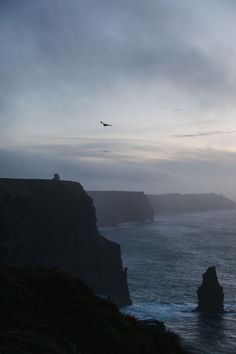 Cliffs of Moher at blue hour, Ireland
