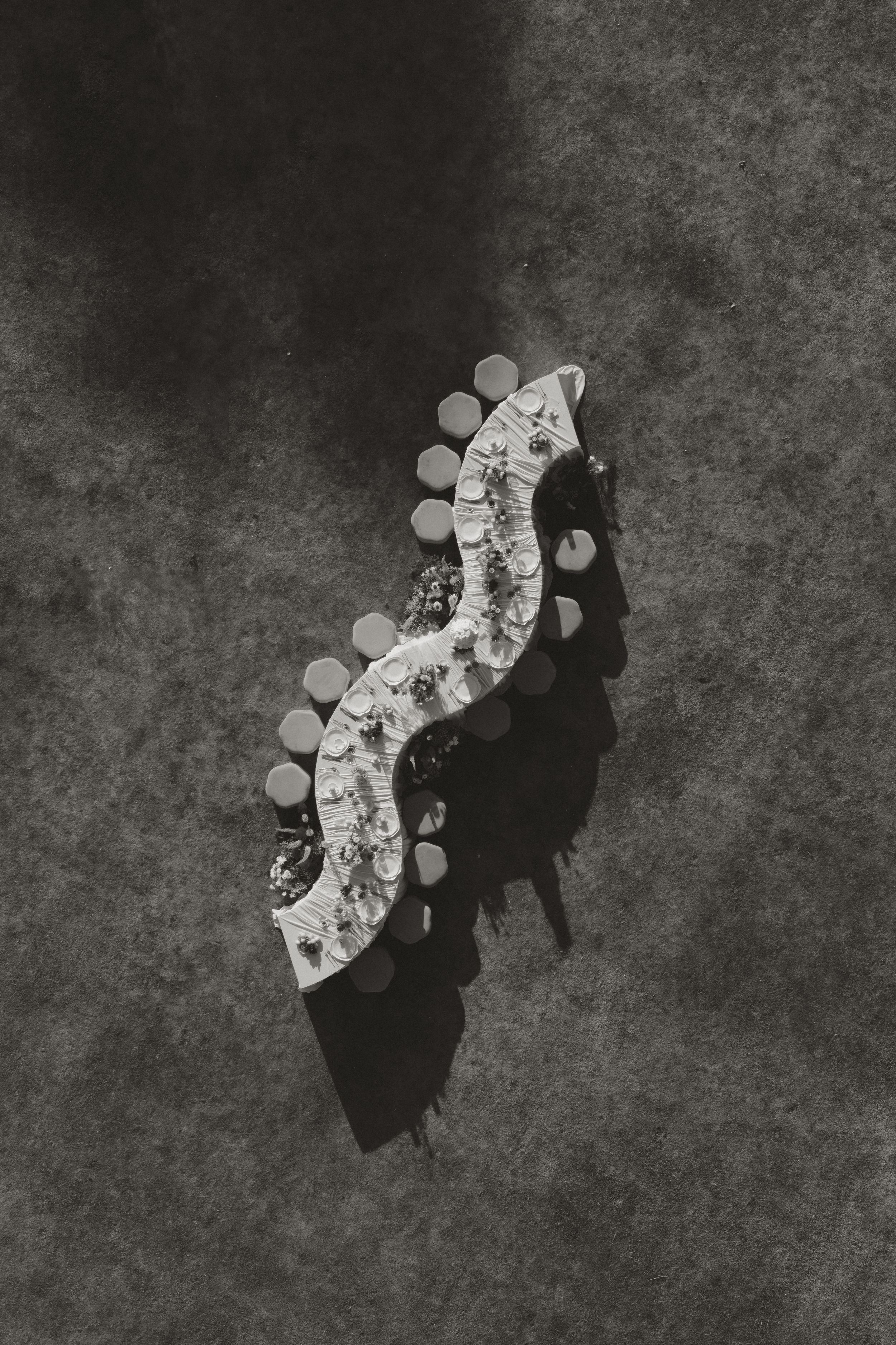Aerial black and white photograph showing a curved line of people casting dramatic shadows on a textured surface.