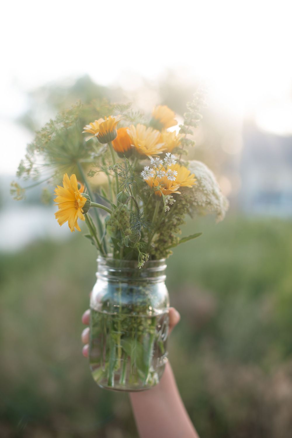 flowers grown in meridian idaho