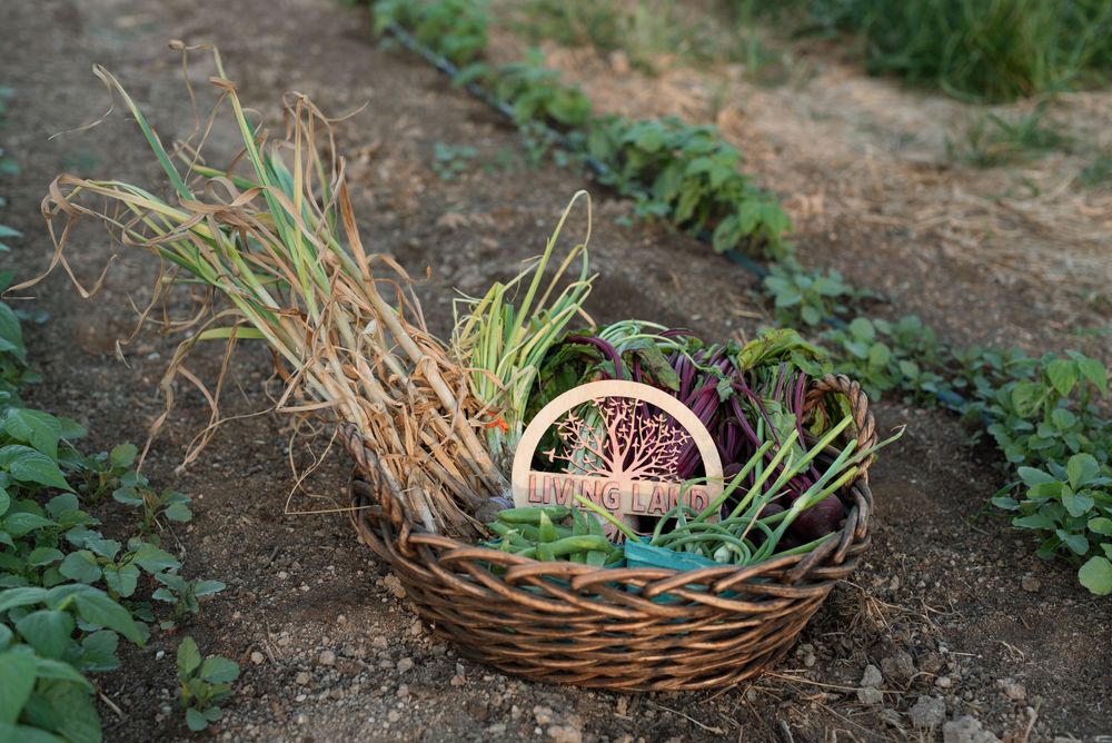 crops and vegetables in meridian idaho