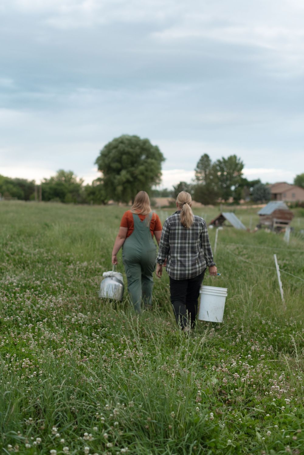 agricultural candid photographer