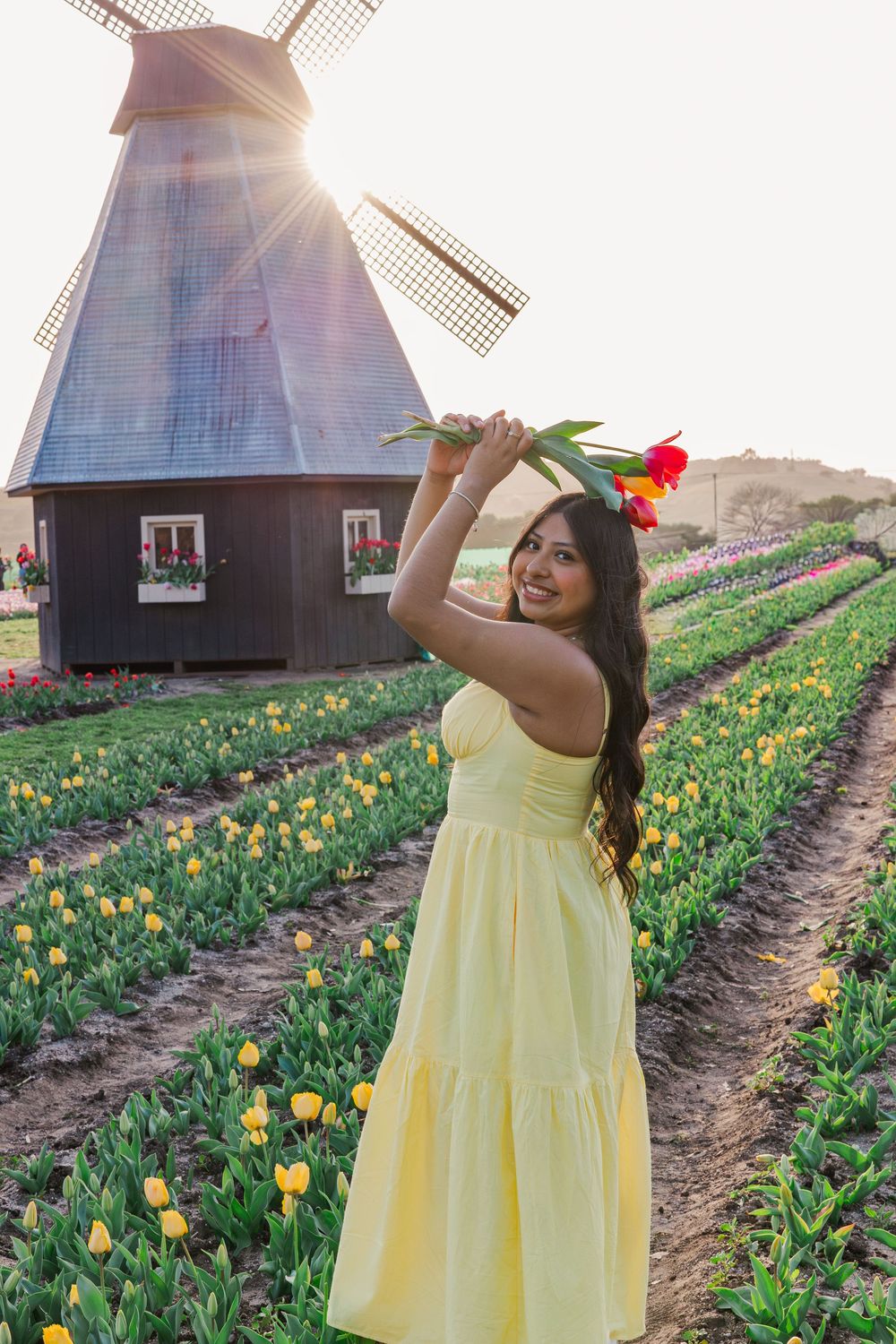 A person in a yellow dress poses by colorful tulip fields and traditional windmill during golden hour sunset.