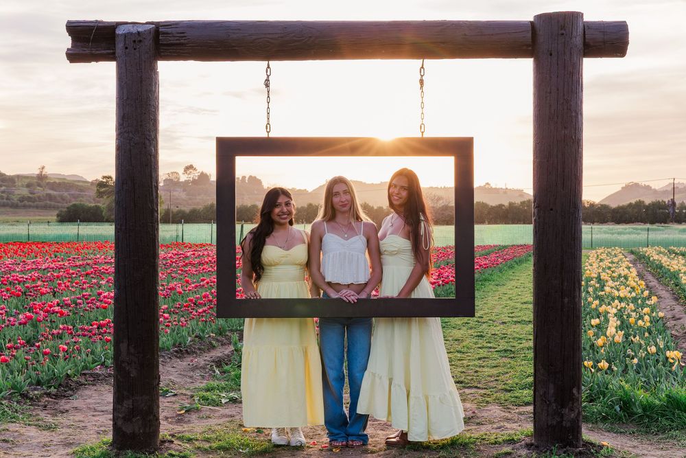 Scenic collage of people in a tulip field at sunset with colorful flowers stretching into the distance.