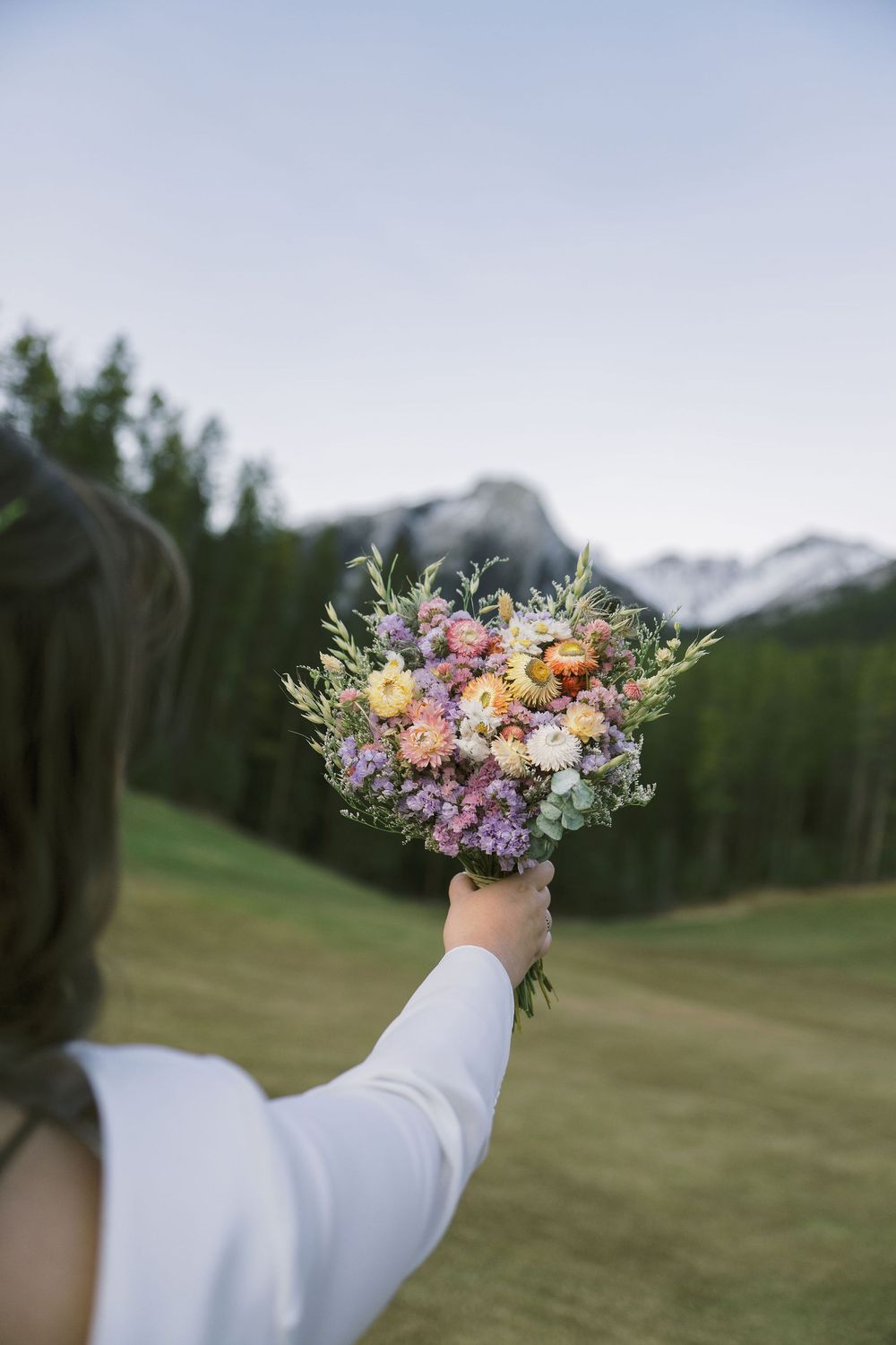 A delicate wildflower crown held up against a scenic mountain landscape with evergreen trees in the background.