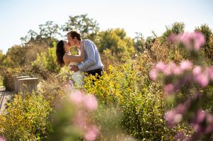 Couple kissing romantically surrounded by vibrant wildflowers in sunny outdoor garden.