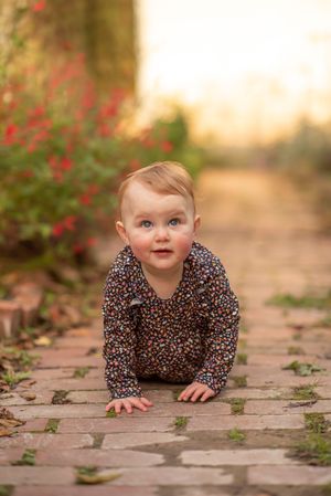 Adorable baby in floral outfit crawls on brick path surrounded by colorful garden.