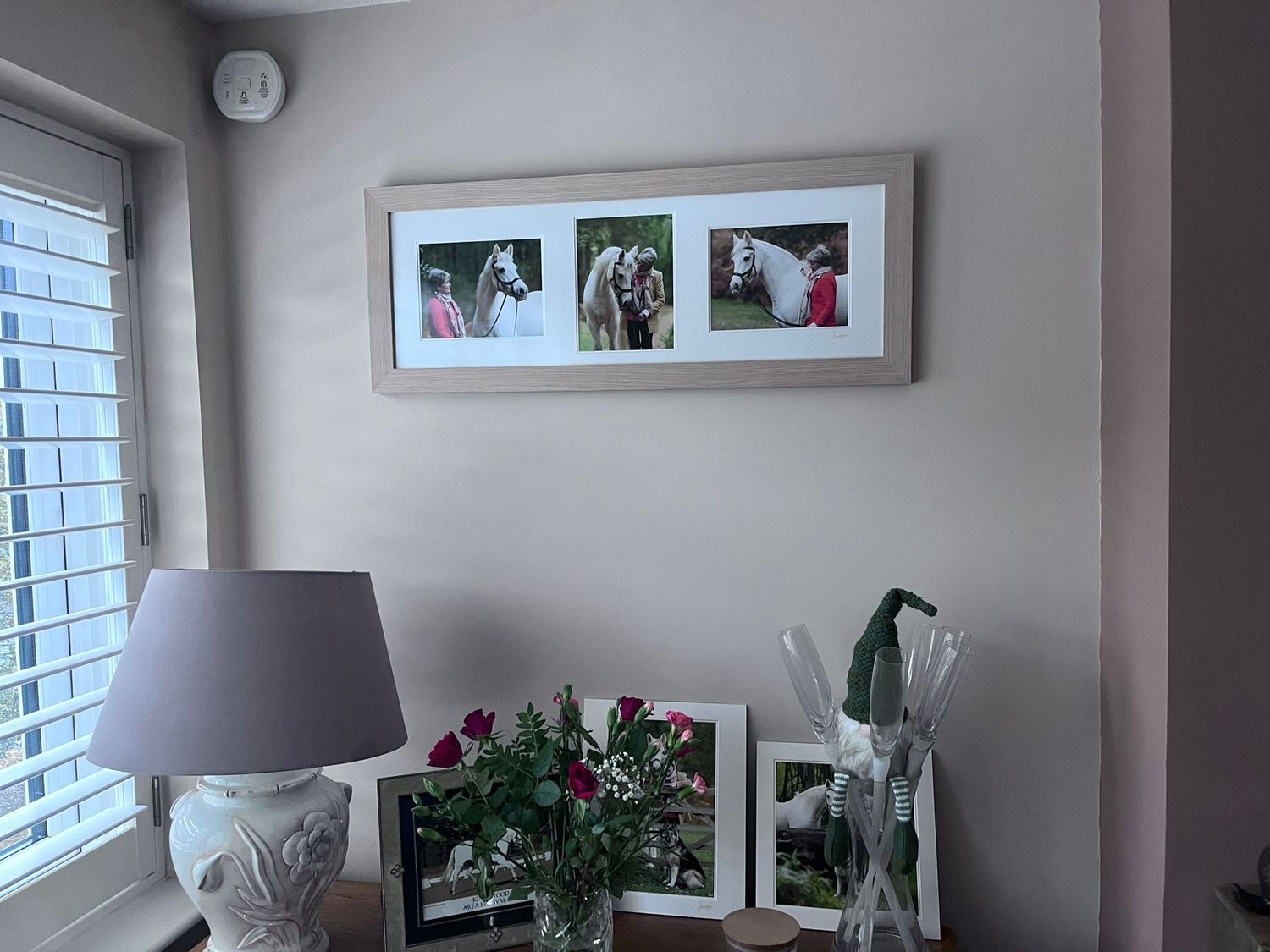 A series of seven photos showing a white horse and rider interacting at a wooden fence in an outdoor setting.